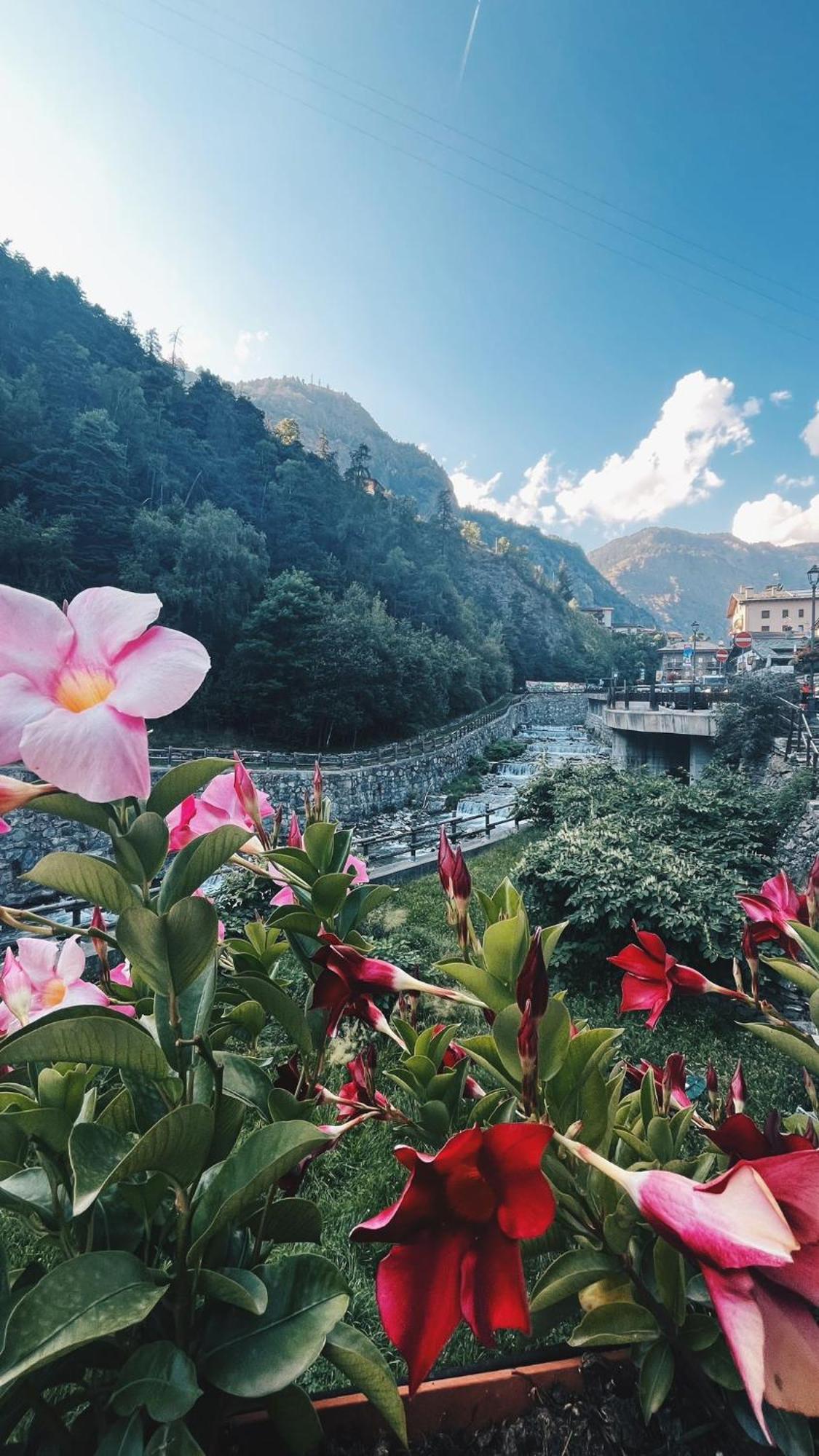 Locanda Monte Cervino Antey-Saint-André Dış mekan fotoğraf